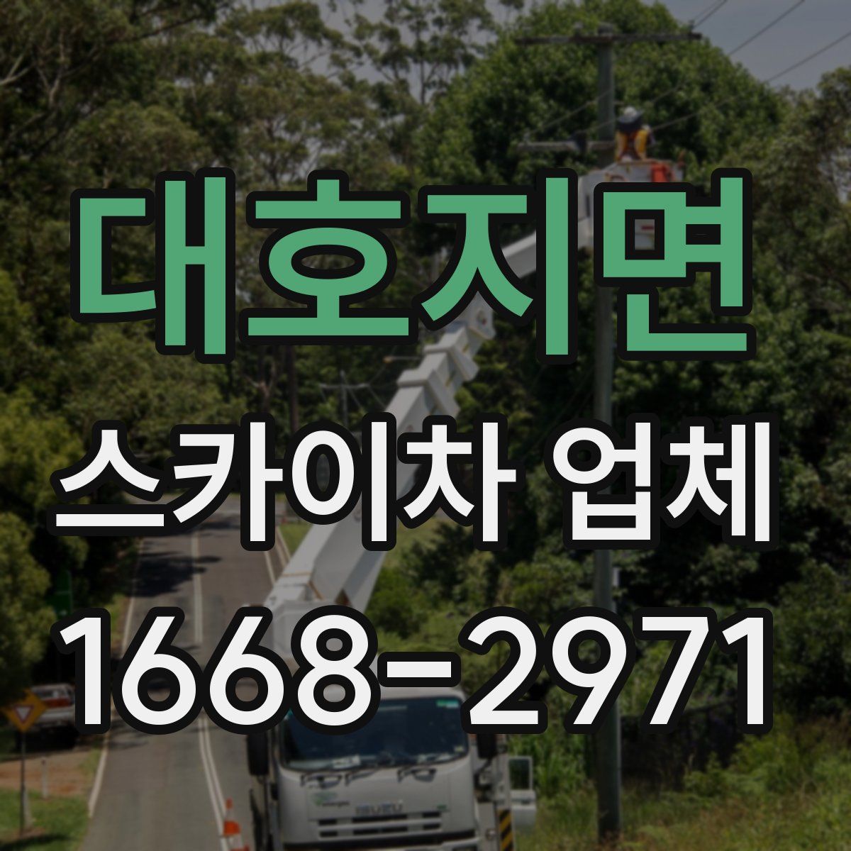 대호지면 스카이차 업체