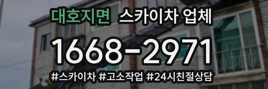 대호지면 스카이차 업체