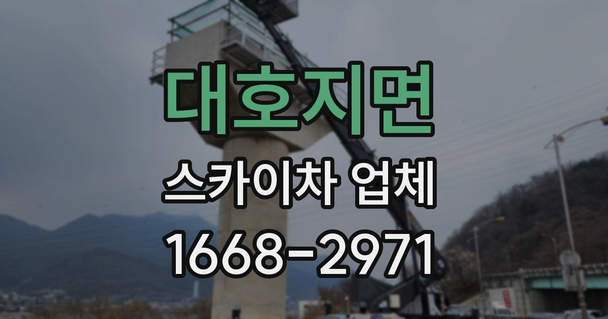 대호지면 스카이차 업체