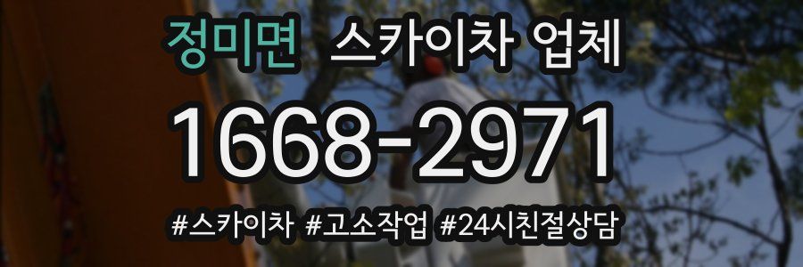 정미면 스카이차 업체