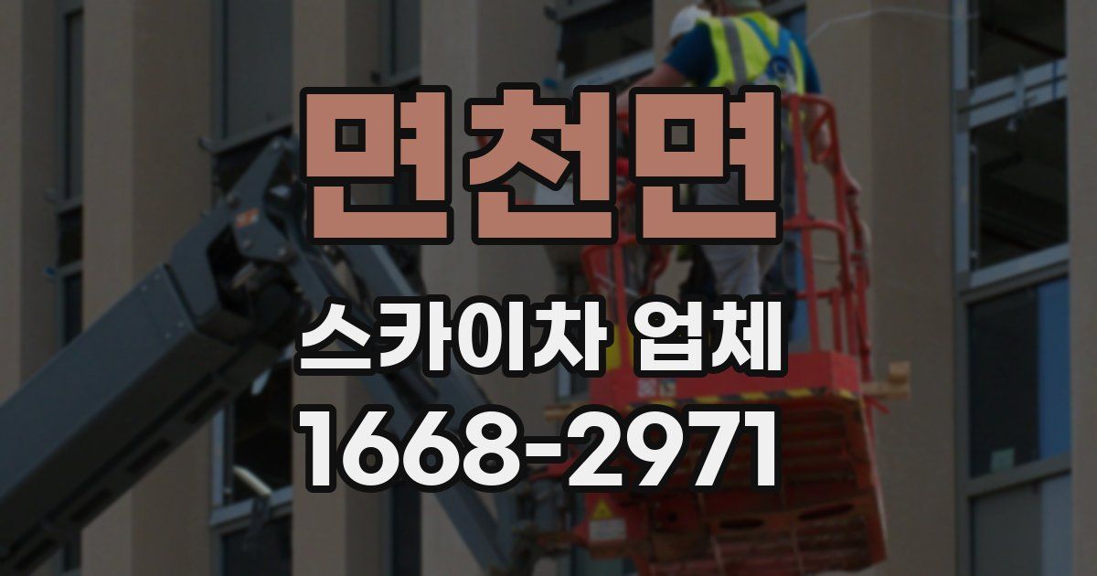 면천면 스카이차 업체