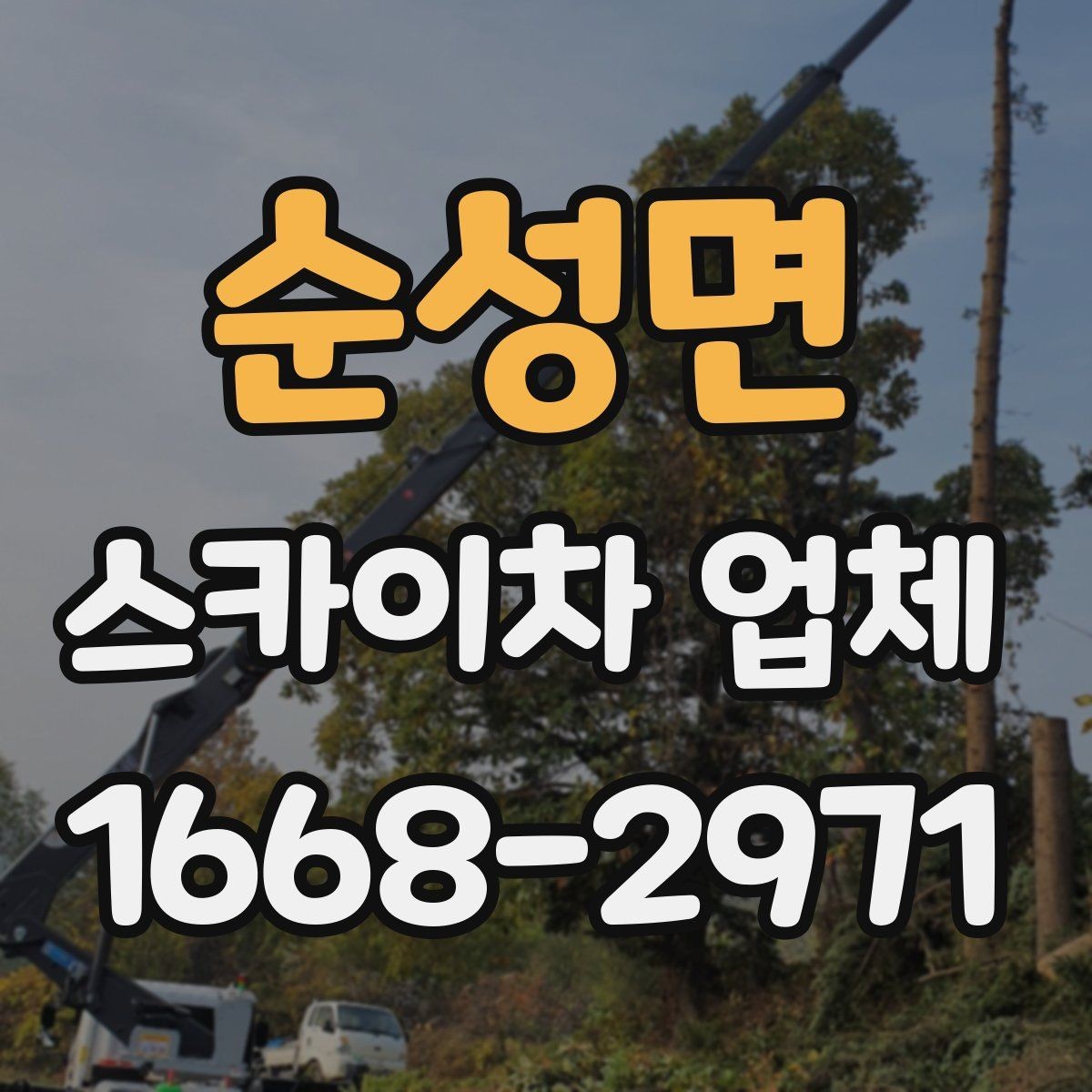 순성면 스카이차 업체 비용 문의 시 빠뜨리기 쉬운 부분