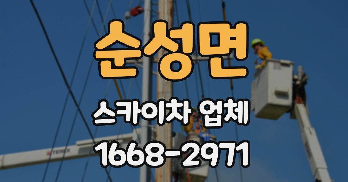 순성면 스카이차 업체