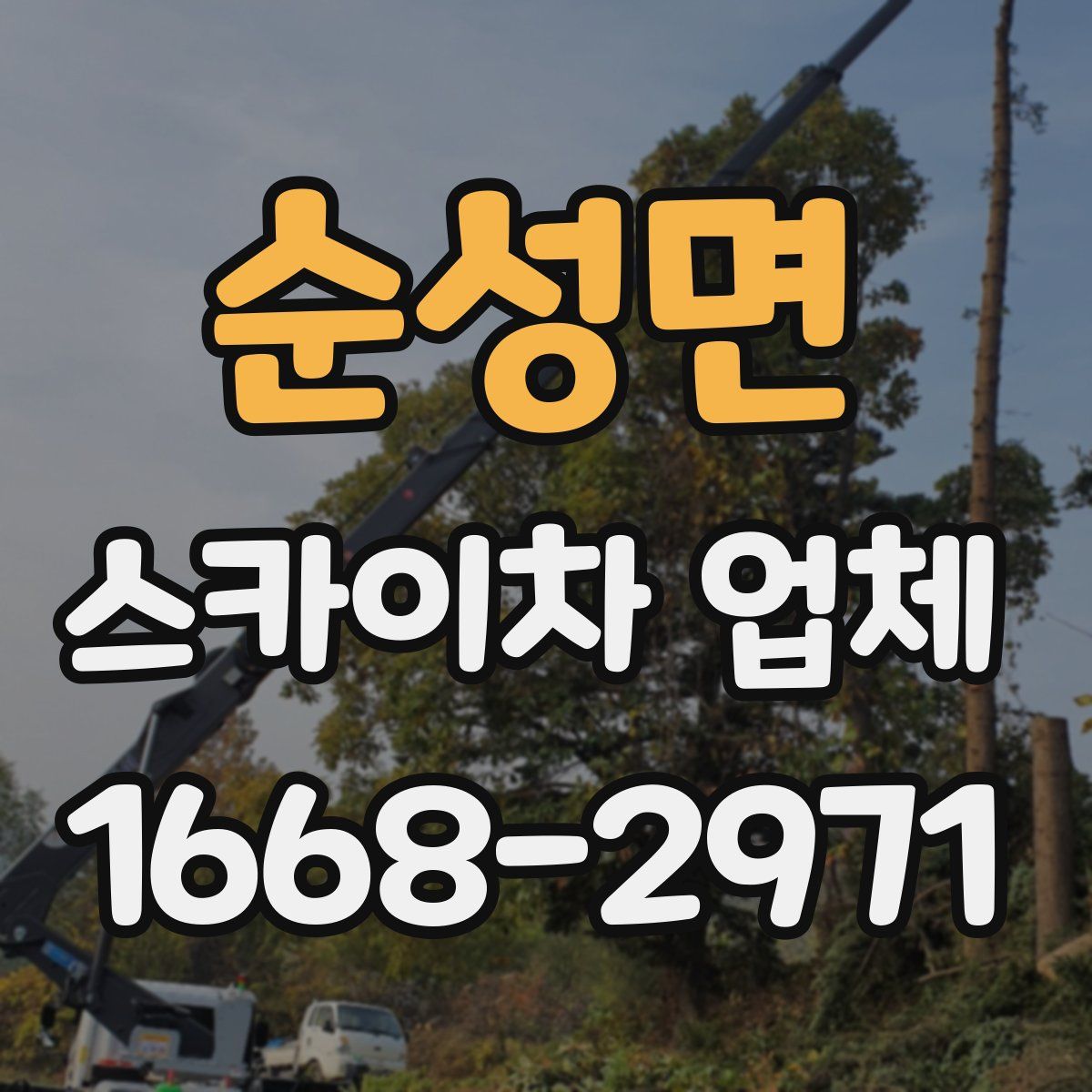순성면 스카이차 업체