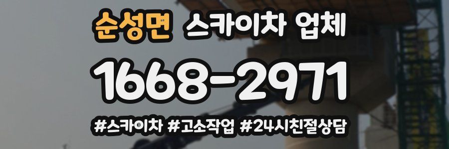 순성면 스카이차 업체