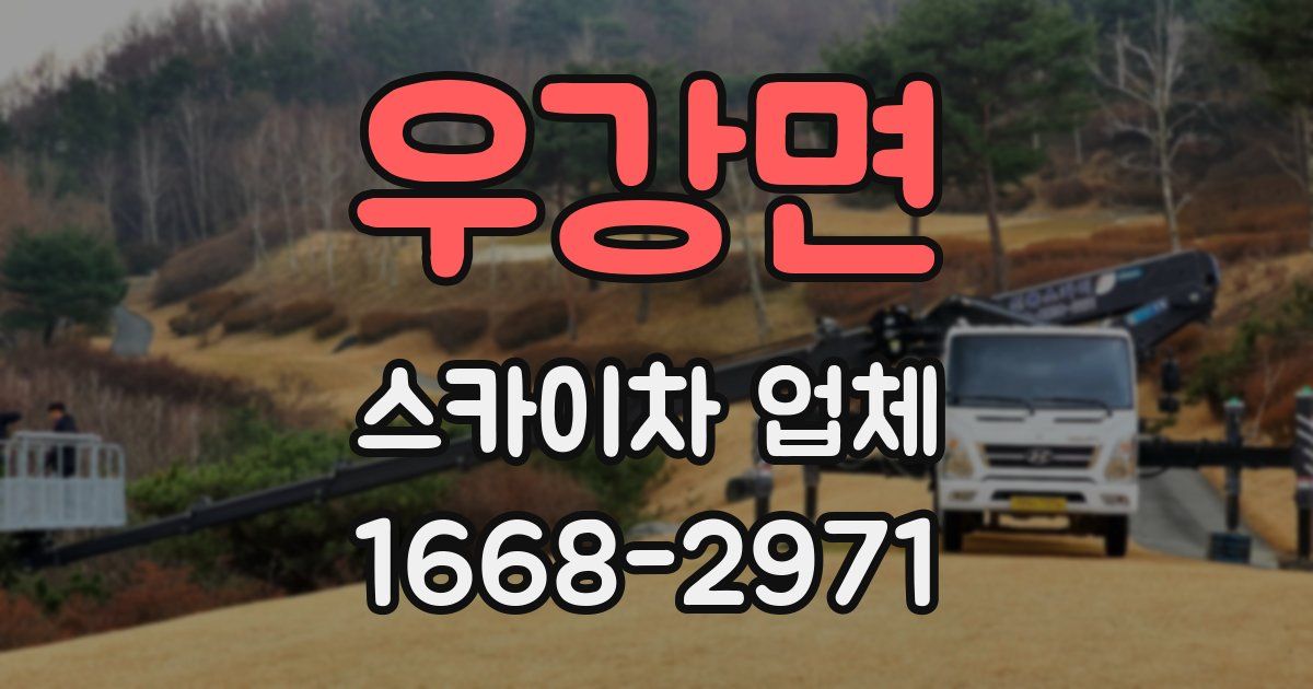 우강면 스카이차 업체