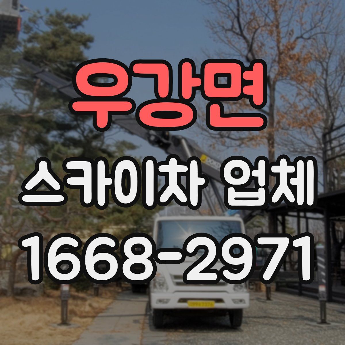 우강면 스카이차 업체