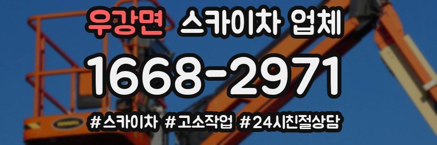 우강면 스카이차 업체