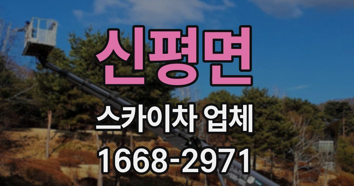신평면 스카이차 업체
