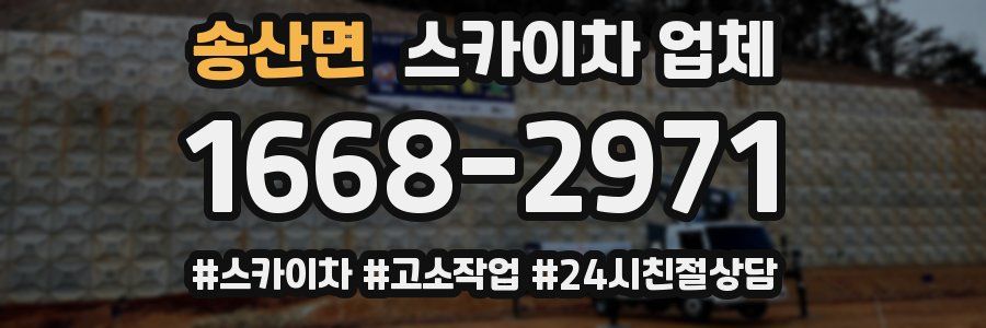 송산면 스카이차 업체