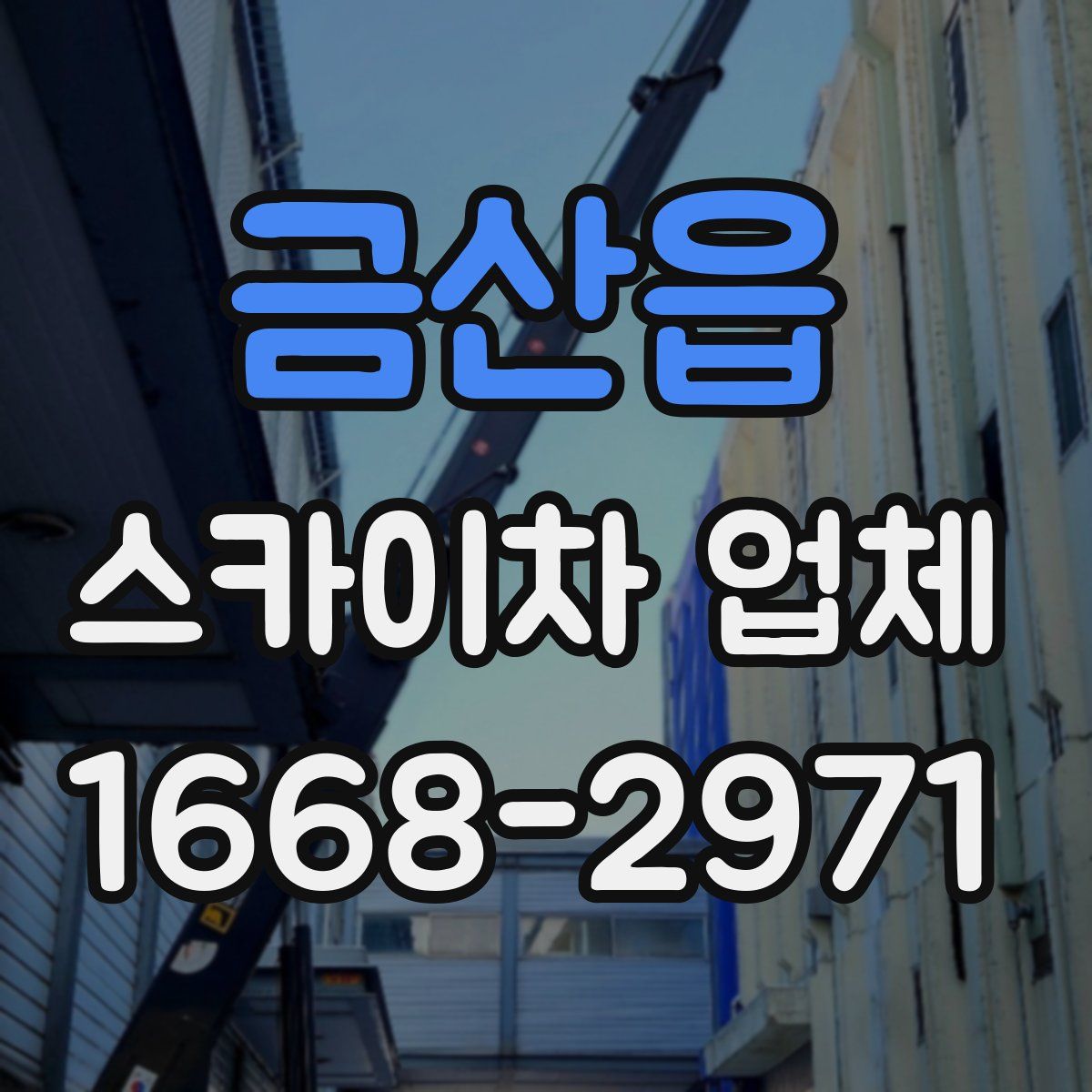 금산읍 스카이차 업체
