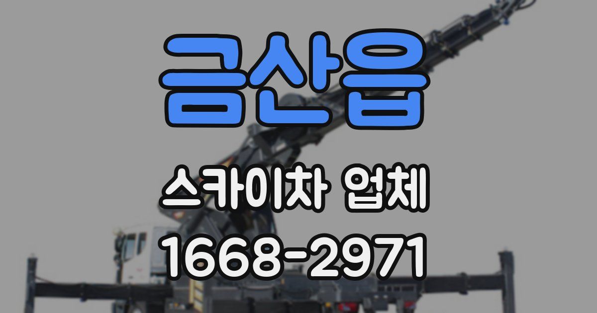 금산읍 스카이차 업체