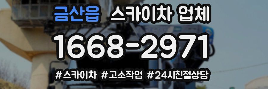 금산읍 스카이차 업체