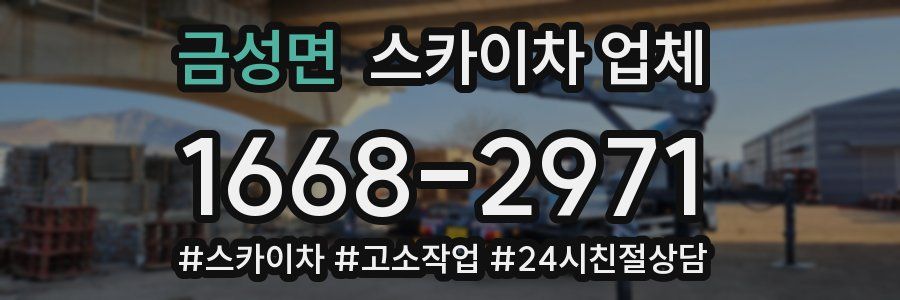 금성면 스카이차 업체