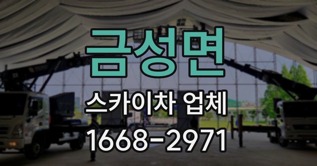 금성면 스카이차 업체