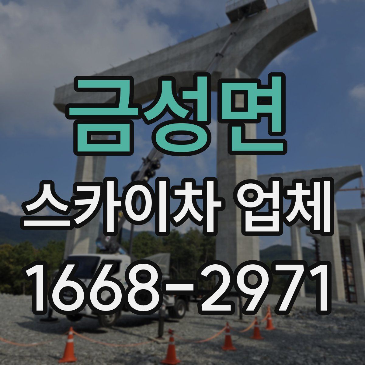 금성면 스카이차 업체