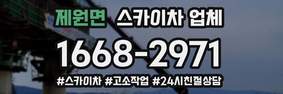 제원면 스카이차 업체