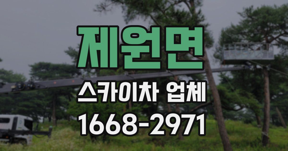제원면 스카이차 업체