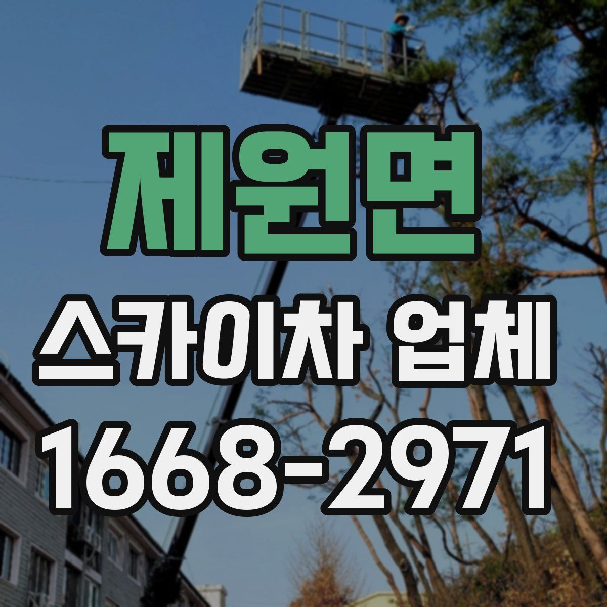 제원면 스카이차 업체