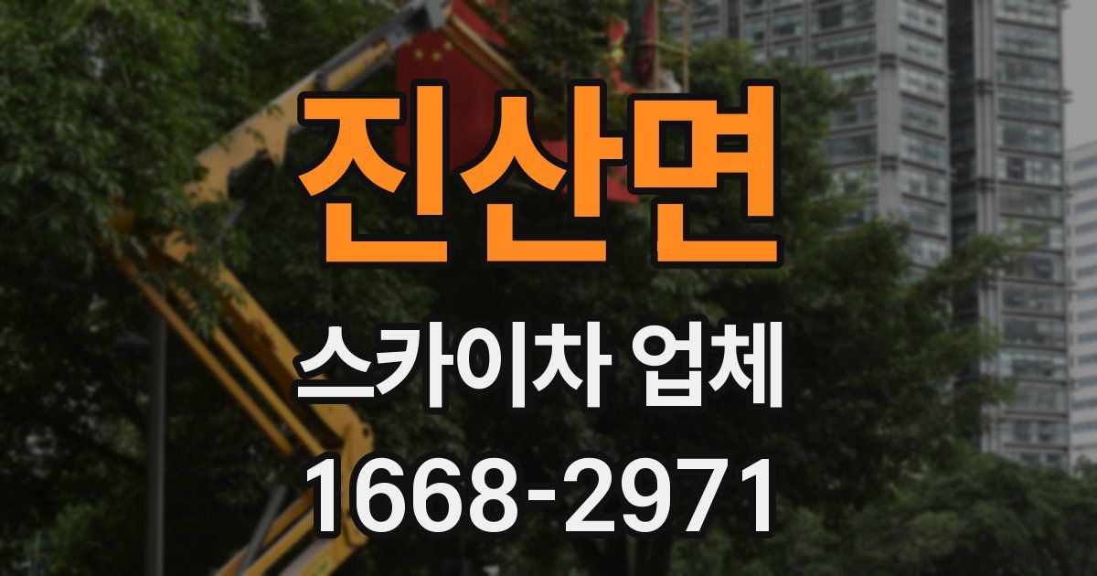 진산면 스카이차 업체