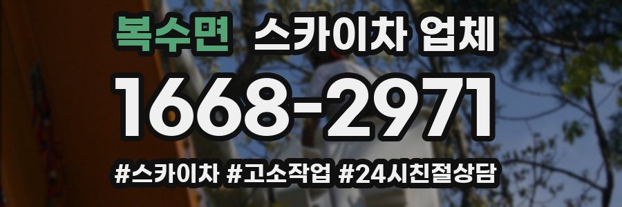 복수면 스카이차 업체