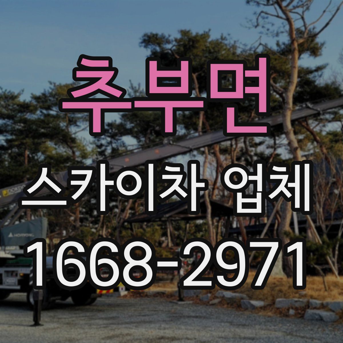 추부면 스카이차 업체