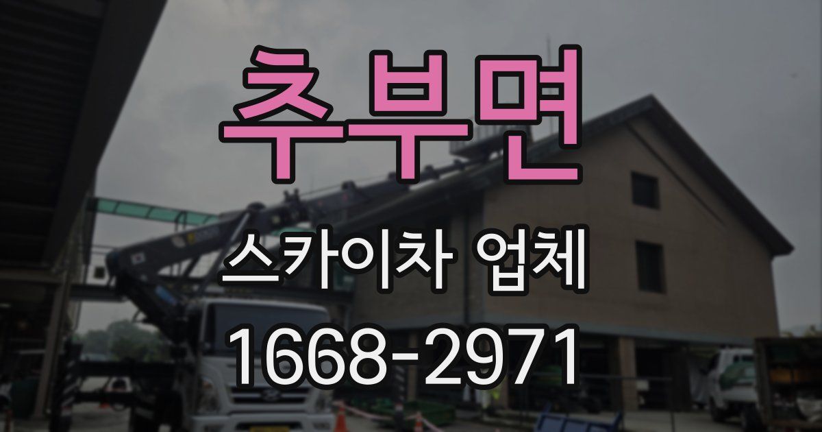 추부면 스카이차 업체
