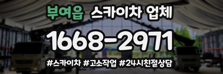 부여읍 스카이차 업체