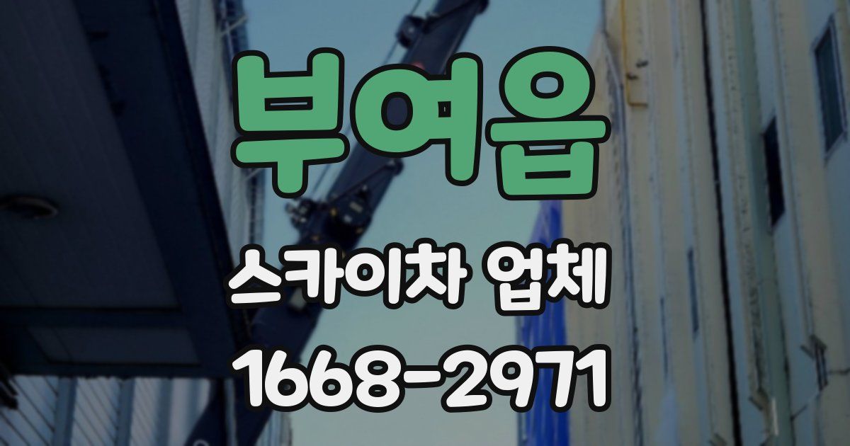 부여읍 스카이차 업체
