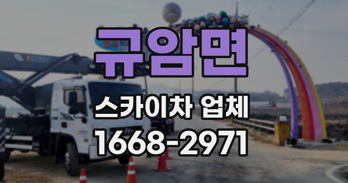 규암면 스카이차 업체