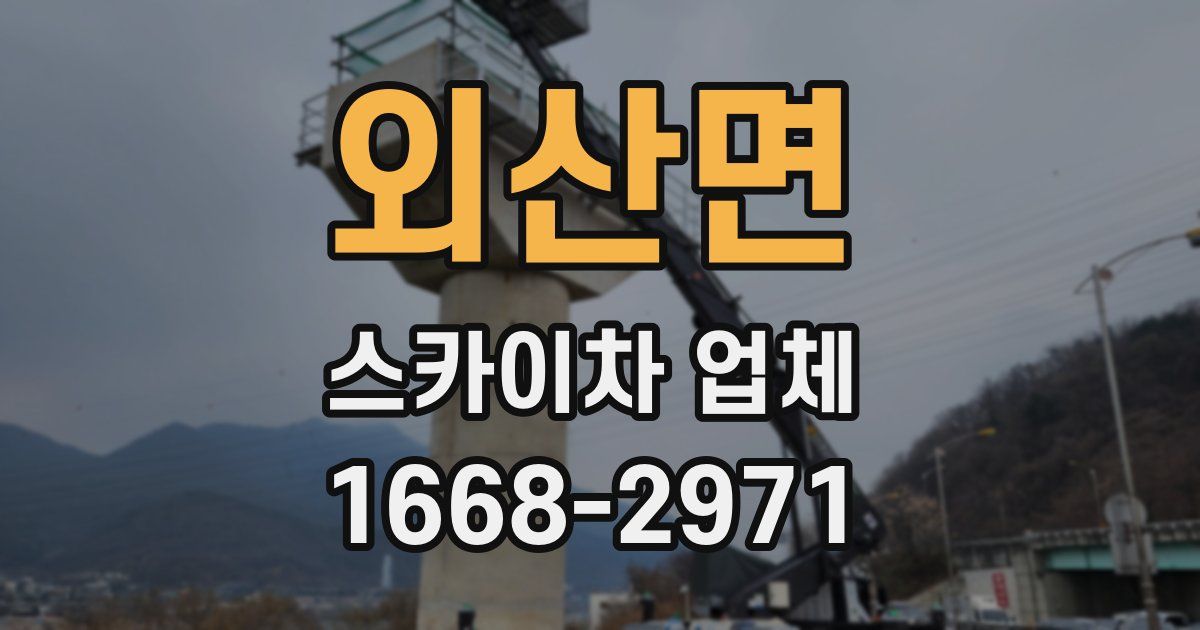 외산면 스카이차 업체