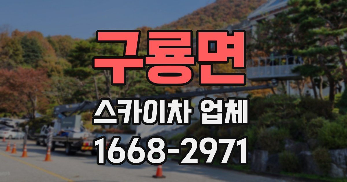 구룡면 스카이차 업체