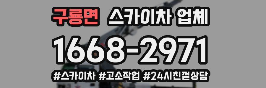 구룡면 스카이차 업체