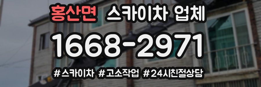 홍산면 스카이차 업체