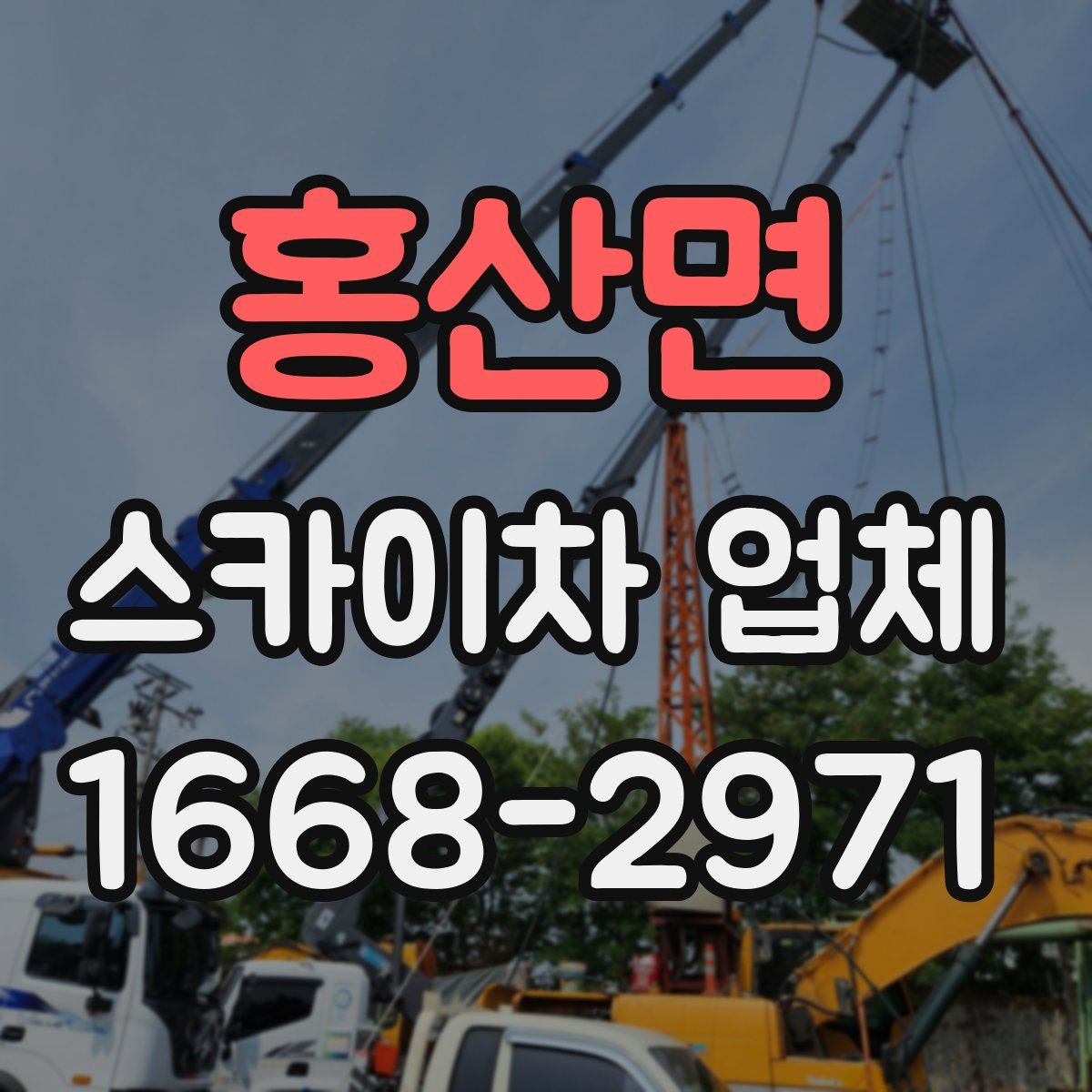 홍산면 스카이차 업체
