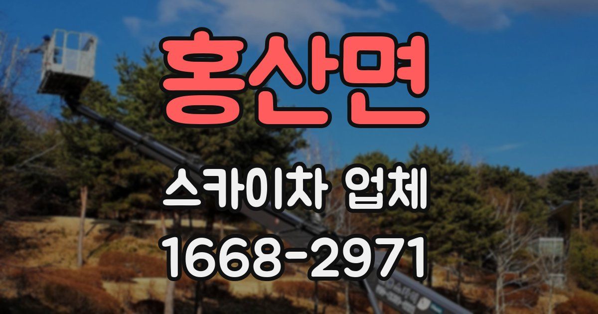 홍산면 스카이차 업체