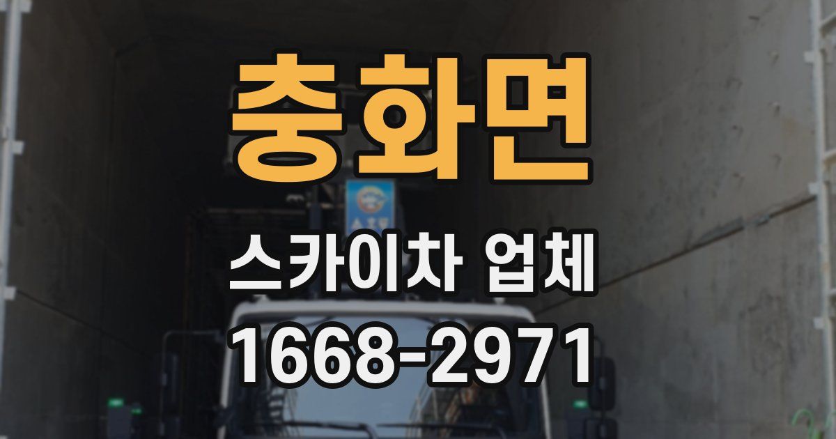 충화면 스카이차 업체