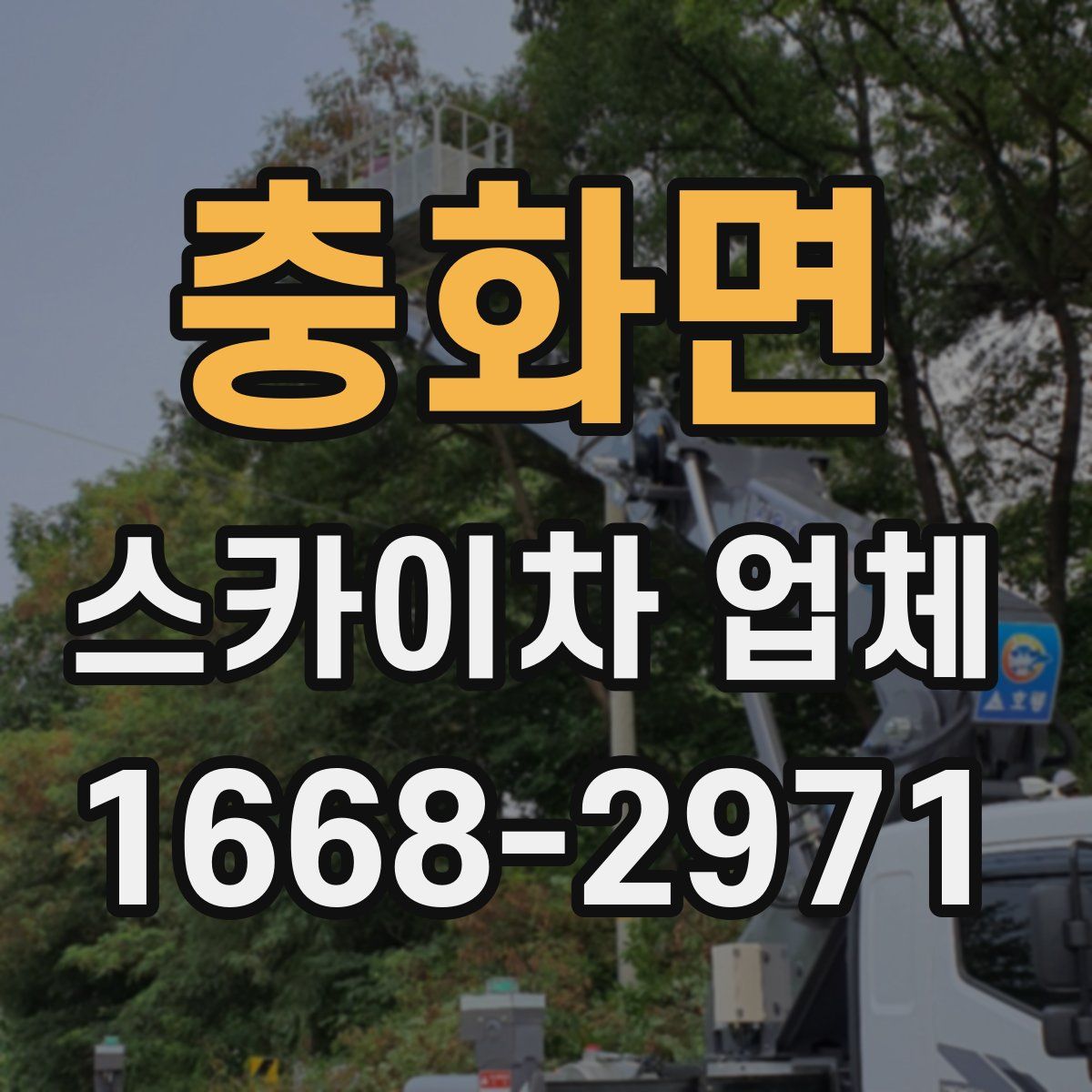 충화면 스카이차 업체
