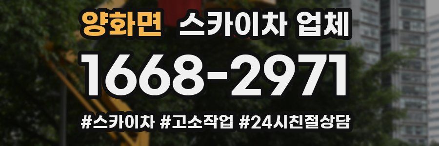 양화면 스카이차 업체