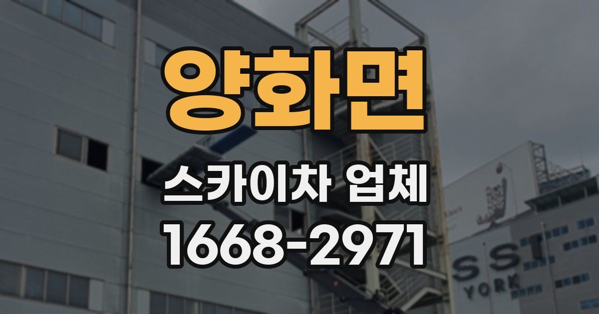 양화면 스카이차 업체
