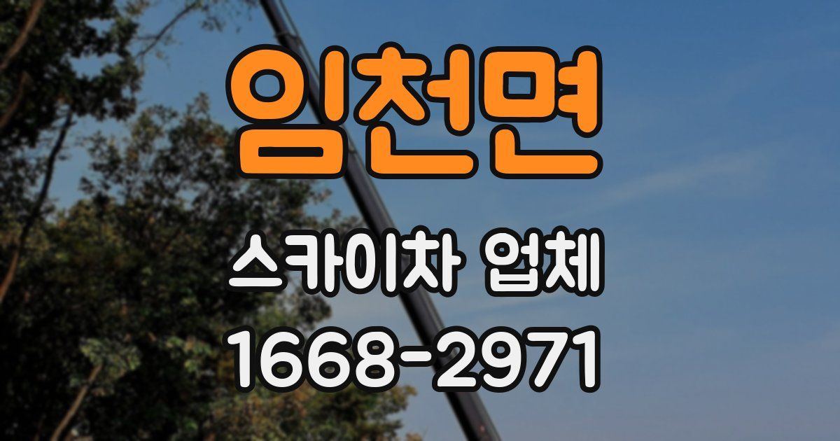 임천면 스카이차 업체