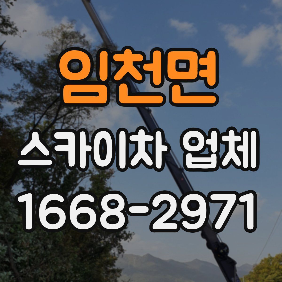 임천면 스카이차 업체