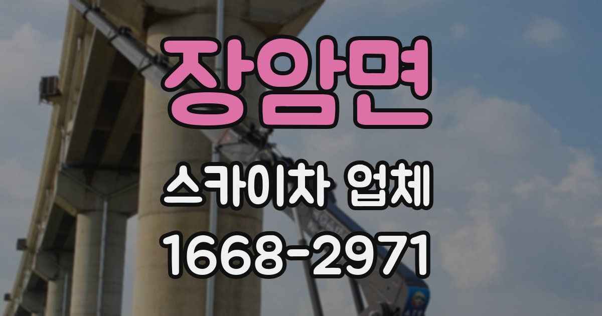 장암면 스카이차 업체