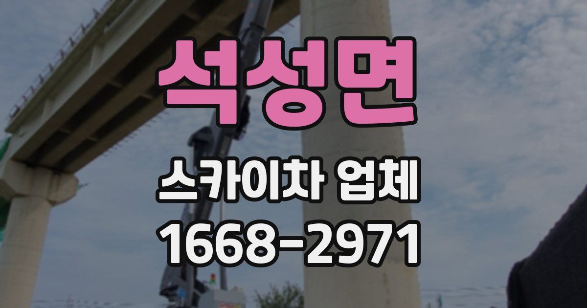 석성면 스카이차 업체