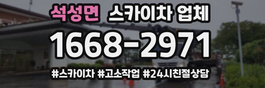석성면 스카이차 업체