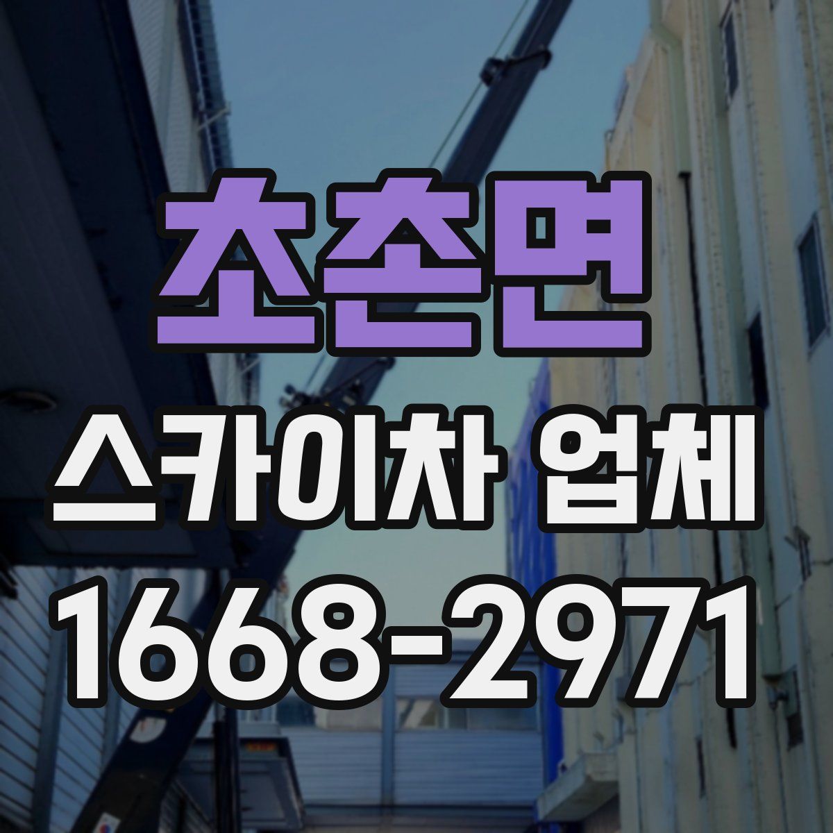 초촌면 스카이차 업체