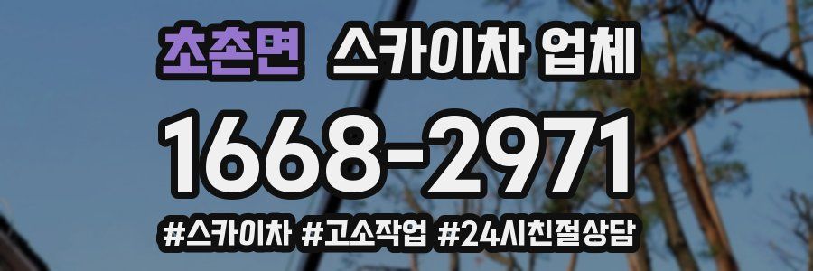 초촌면 스카이차 업체