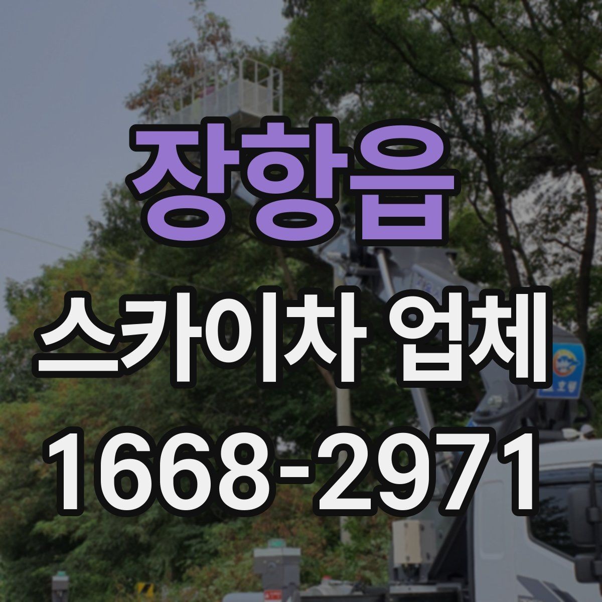 장항읍 스카이차 업체 이용 사례로 보는 작업 준비