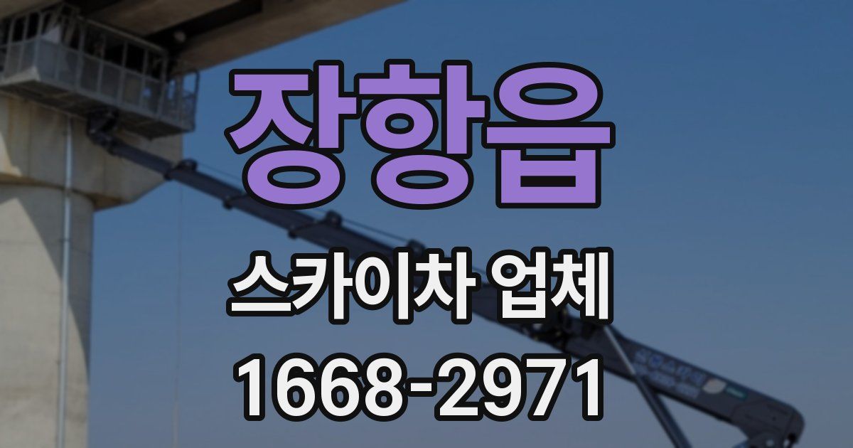 장항읍 스카이차 업체
