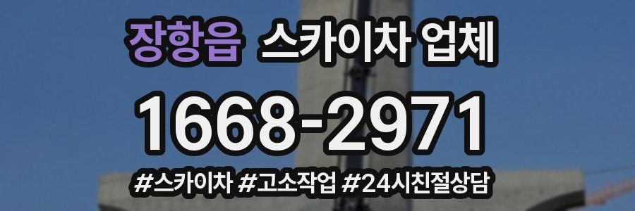 장항읍 스카이차 업체